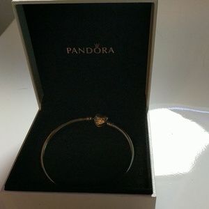 Pandora bracelet